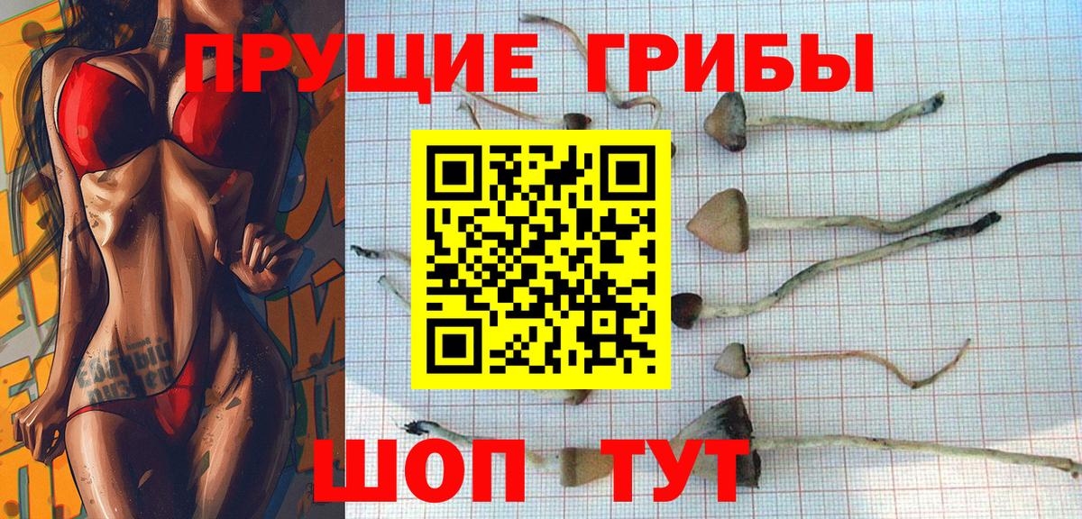 Галлюциногенные грибы MAGIC MUSHROOMS  Псилоцибиновые грибы GOLDEN TEACHER  Соль-Илецк  Вход с VPN 