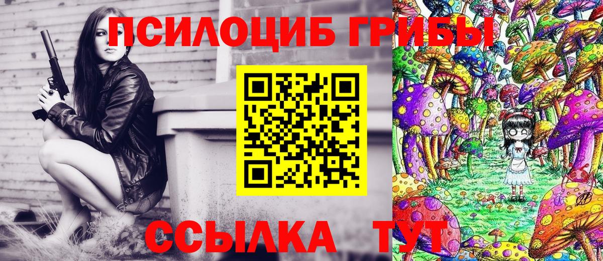 Псилоцибиновые грибы Psilocybine cubensis Соль-Илецк